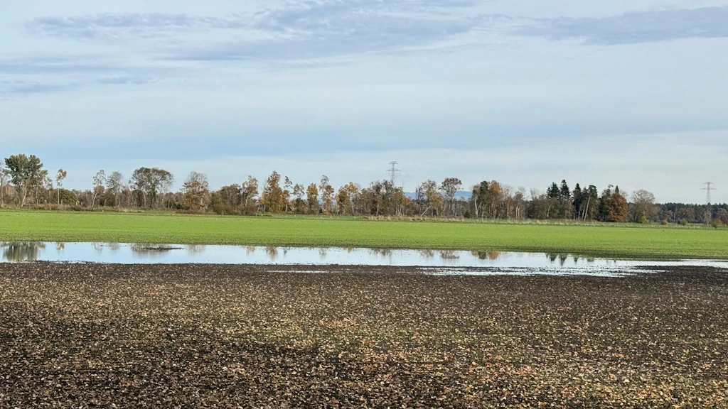 Feuchtackerfläche, Terres assolées humide, Superfici coltive umide, Wet Arable Land