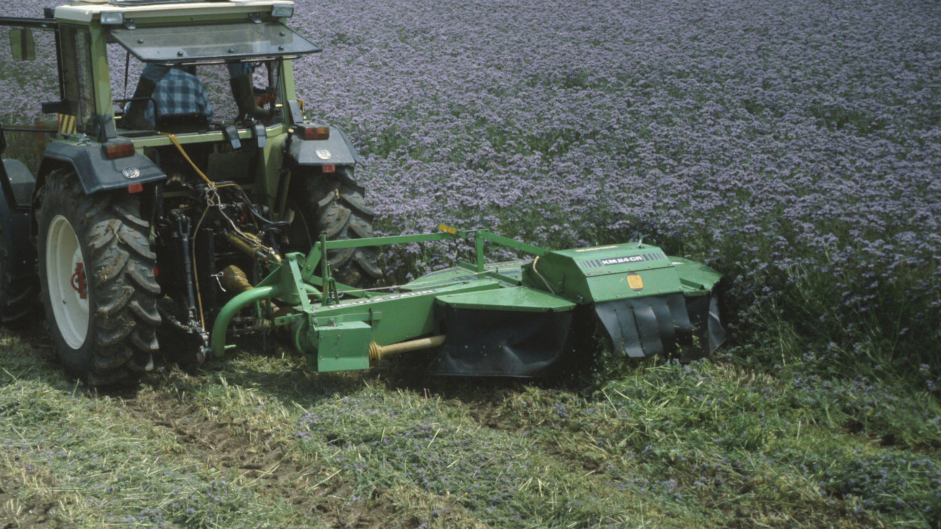 Bee losses caused by rotary mowers